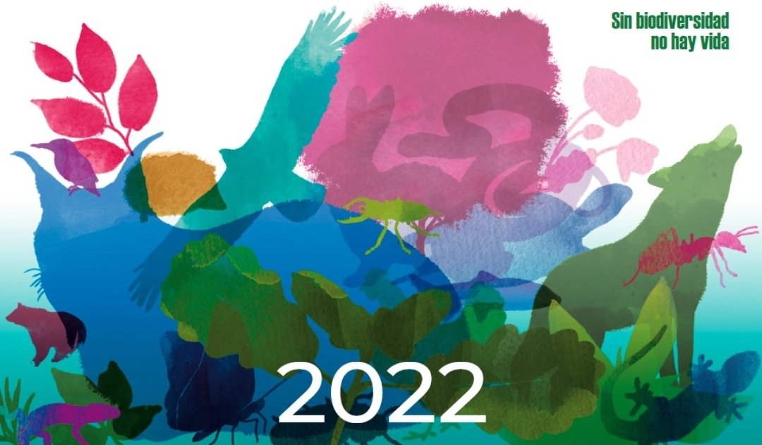 EcoToledo's tweet photo. ⚠️1 de cada 8 especies del planeta se encuentra en peligro de extinción. En España hay 777 ⚠️ Dentro del proyecto de @ecologistas #SinBiodiversidadNoHayVida,  @ecotoledo pone este  calendario 2022 a vuestra disposición.
¡HAZTE YA CON EL TUYO! ➡️

https://t.co/WPlIVwtKWp https://t.co/MIoSKQ3n5C