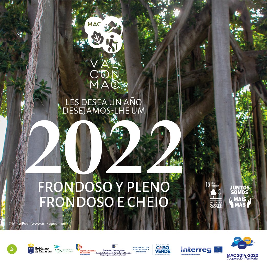 valconmac2's tweet photo. Les deseamos que este año que comenzamos sea frondoso en proyectos, y consigan superar sus expectativas. Tenemos raíces profundas 
Desejamos que este ano que iniciamos seja frondoso de projetos e que supere as suas expectativas. Temos raízes profundas
#juntosSomosMaisMas https://t.co/9Oc0Q4yTHx