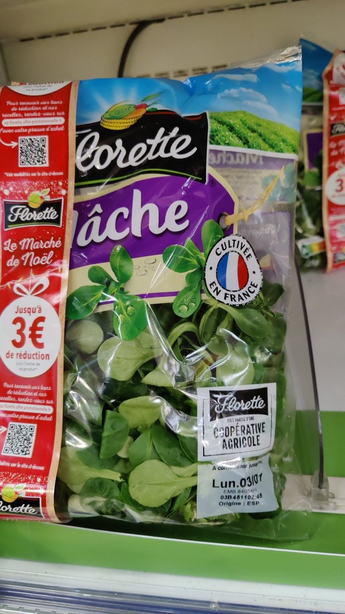thomasgrimaldi's tweet photo. @FloretteFS_fr bonjour, pourriez vous m'expliquer pourquoi cette mâche cultivée en France est d'origine Espagne ? Merci https://t.co/J2hIct6RTN