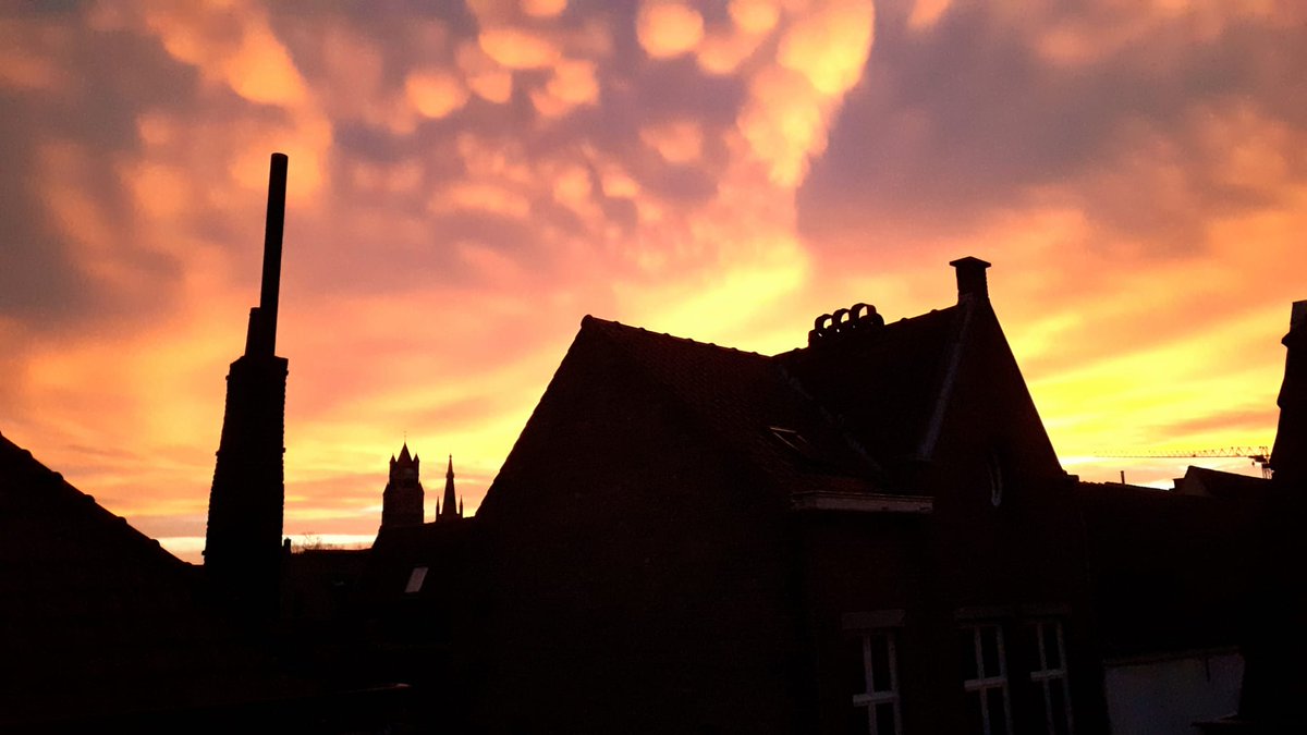 Tine Simoens tweet media