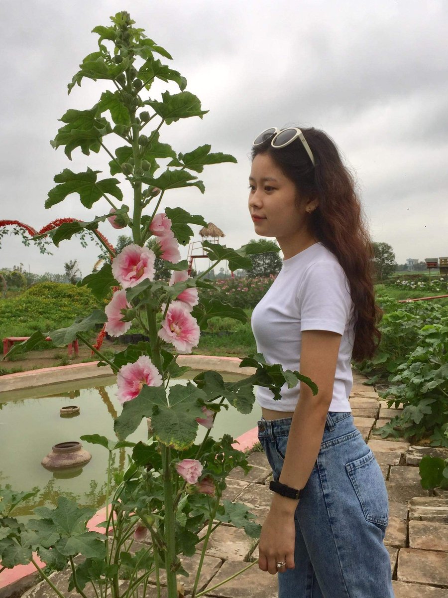 Nhớ Tây Nguyên nắng gió