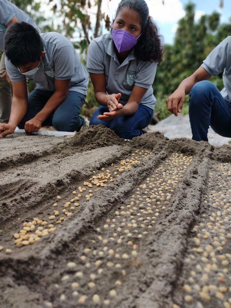 EFICOCOFFEE's tweet photo. As 2021 draws to an end, we would like to extend a heartfelt THANK YOU to all our EFICO Foundation partners, donors, supporters and ambassadors! 🙏💚🌎
 
We are very proud of our strong team work in a context with many challenges, amongst others a continued pandemic.

#thankyou https://t.co/0wdiMnDFHS