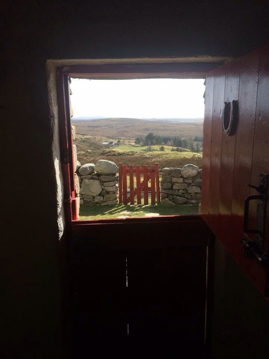 Dan O Hara Homestead tweet media