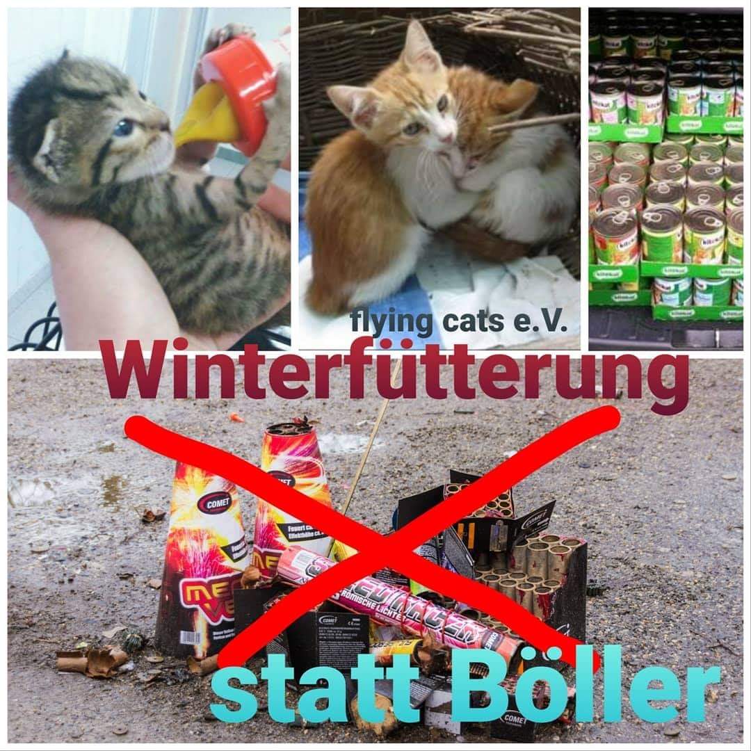 FlyingCats_eV's tweet photo. Auch in diesem Jahr sind #Böller und #Raketen weiträumig verboten. Wie schön wäre es, wenn ein Teil des gesparten Geldes nun den Vereinen zugute kommt, die im #Winter die Streuner nur mit Not am #Leben erhalten können. Oder wenn ihr selbst Futter für Wildtiere und Streuner kauft! https://t.co/RUGyyrcYr3