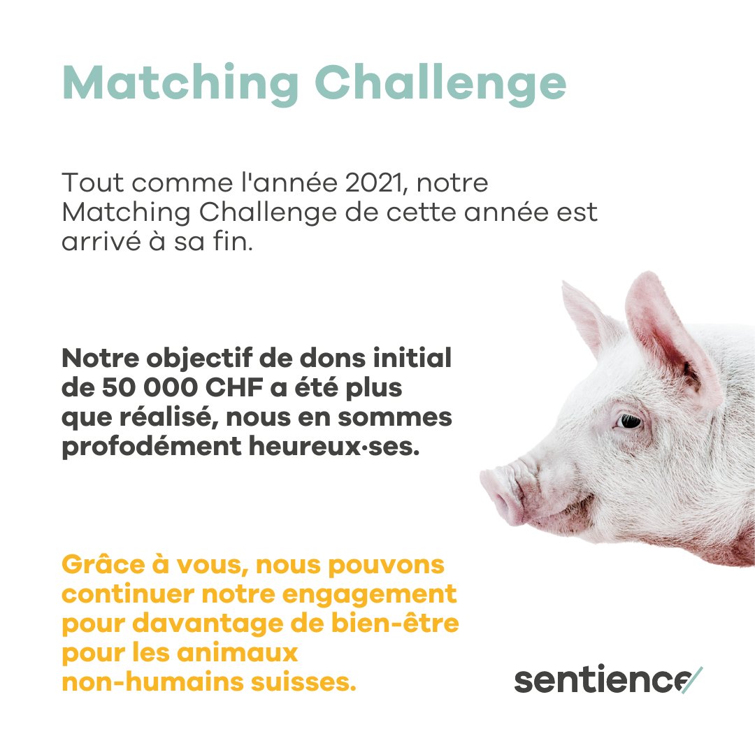 Sentiencesuisse's tweet image. Nous avons réussi, notre Matching Challenge est terminé. Notre objectif de dons à été plus que réalisé avec 70’000 CHF. 🤩 Merci de tout coeur à vous tou·te·s et une bonne année ! 🎉