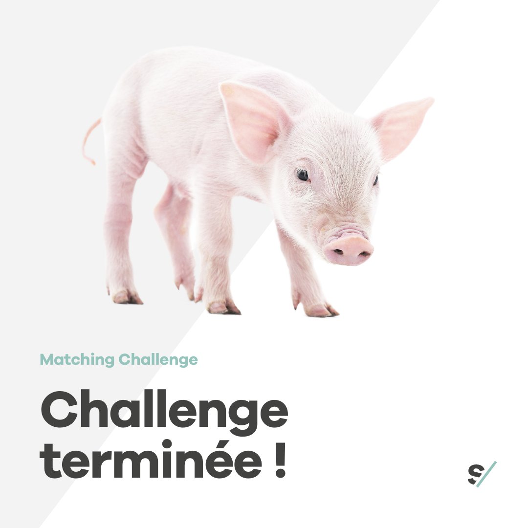 Sentiencesuisse's tweet image. Nous avons réussi, notre Matching Challenge est terminé. Notre objectif de dons à été plus que réalisé avec 70’000 CHF. 🤩 Merci de tout coeur à vous tou·te·s et une bonne année ! 🎉