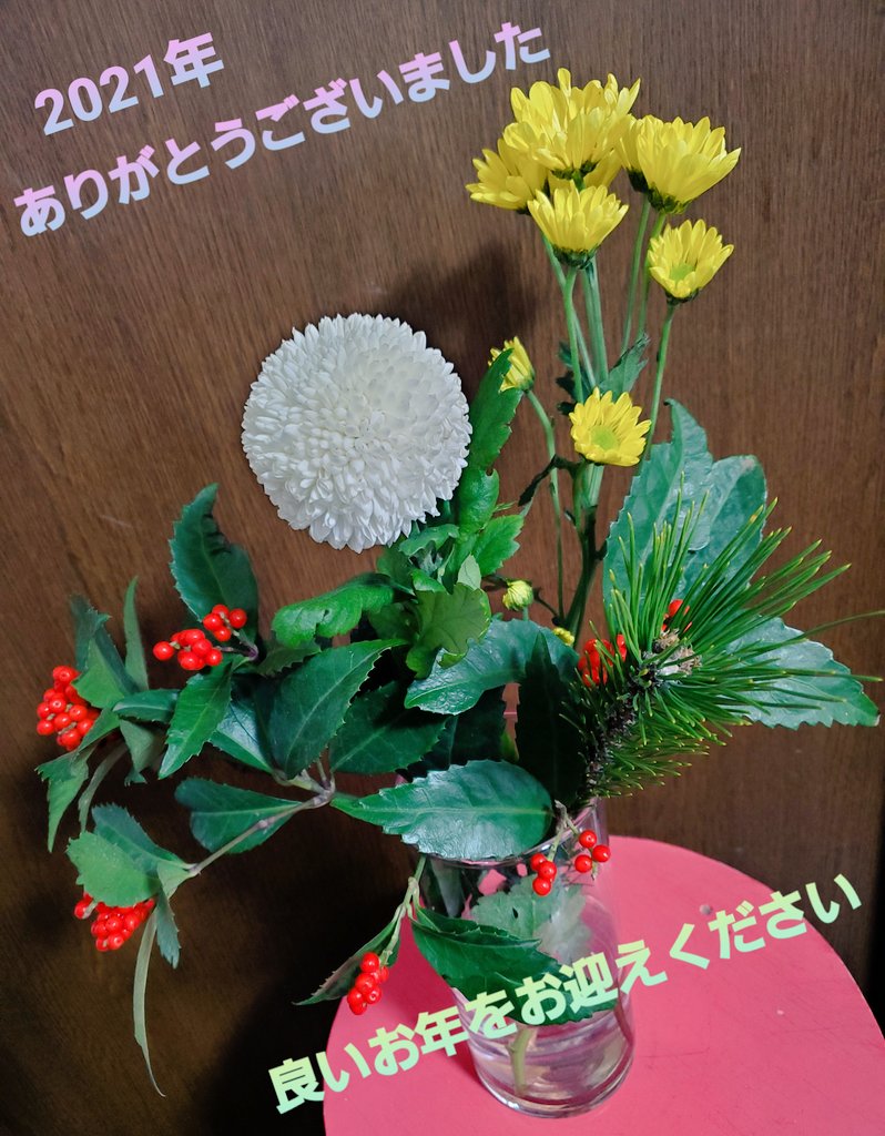 ichinose_704's tweet photo. お正月っぽいちょっとしたお花買おうかと思ったら、花屋のおじいちゃんがサービスしてくれて、部屋の大きさに合わん豪華さになった！ https://t.co/cJPKYPmTaf