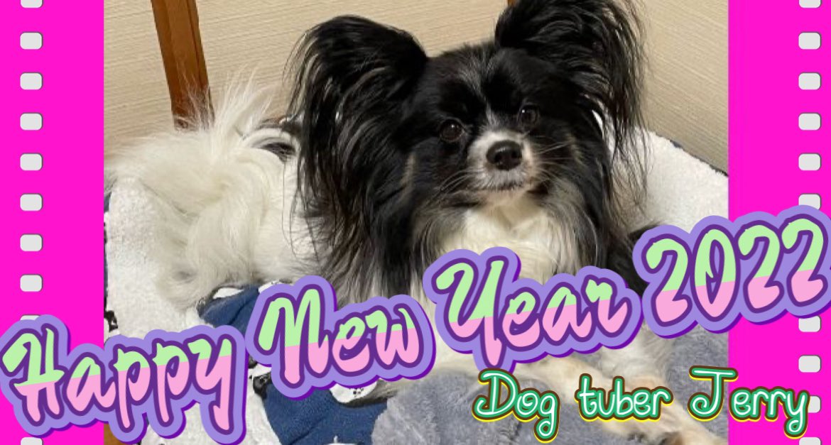 dogtuberjerry's tweet photo. #dogtuberjerry.  #ワンチューバージェリー https://t.co/hPkwgzRKDh