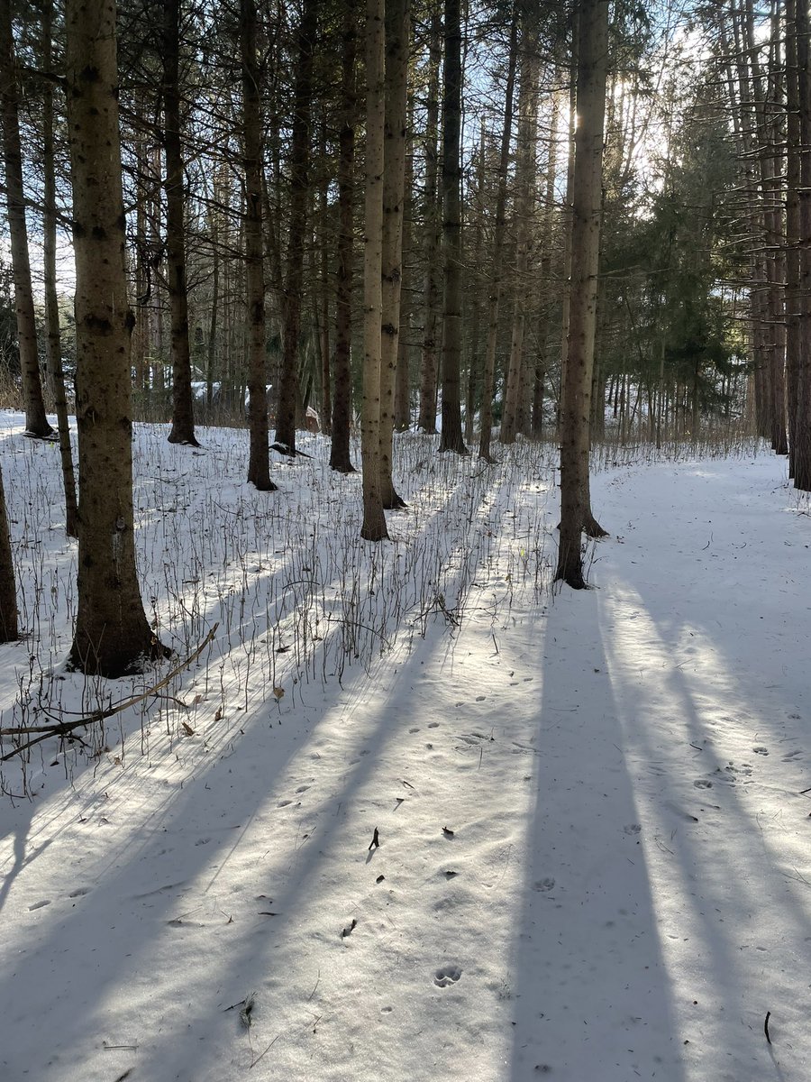 Looking forward to a happy healthy and bold 2022 year ahead!  #New Year  #manufacturing #Quantum