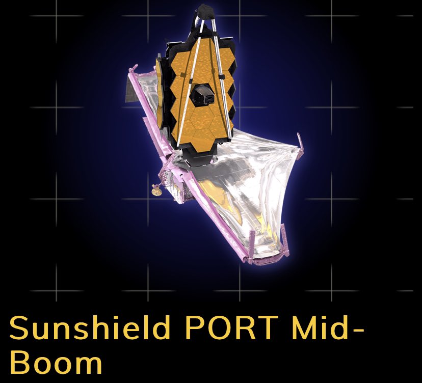 Dr. Gioia Rau tweet media