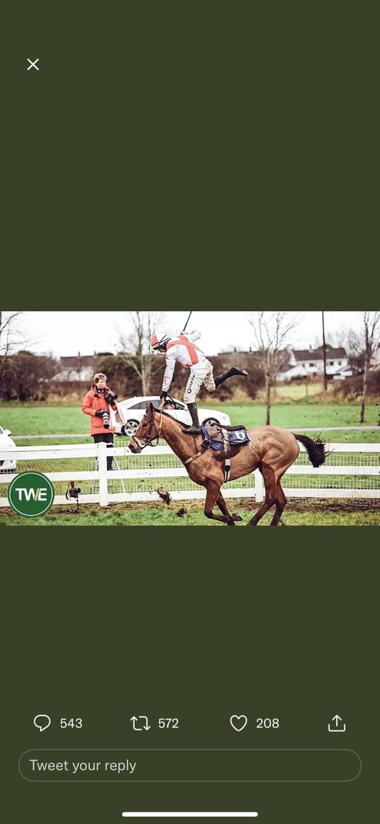 SophWarren25's tweet photo. @TWEnclosure https://t.co/bd9IV8kVwL