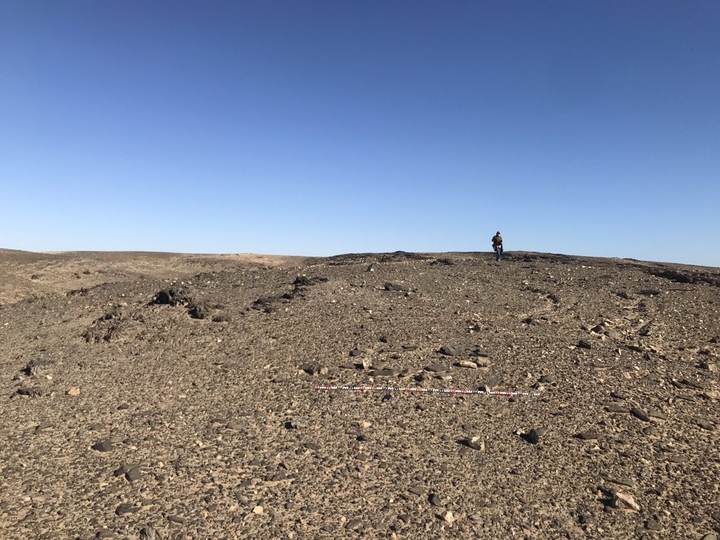 jubudka's tweet photo. Another successful survey day with some very nice Neolithic sites #Ginis #Sudan #MUAFS #Archaeology https://t.co/E1FD9bKIcZ