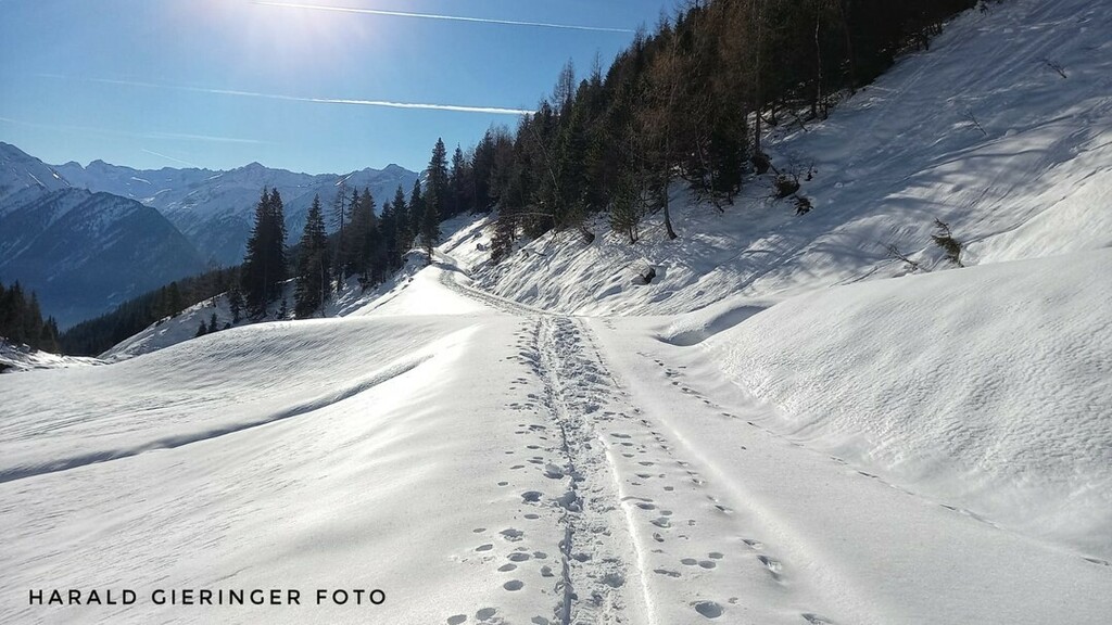 𝑨𝑼𝑭 𝑫𝑬𝑴 𝑾𝑬𝑮 𝑰𝑵𝑺 𝑱𝑨𝑯𝑹 𝟐𝟎𝟐𝟐 ✨🍀

Wir wünschen unseren lieben Gästen und Freunden einen guten Rutsch ins neue Jahr!