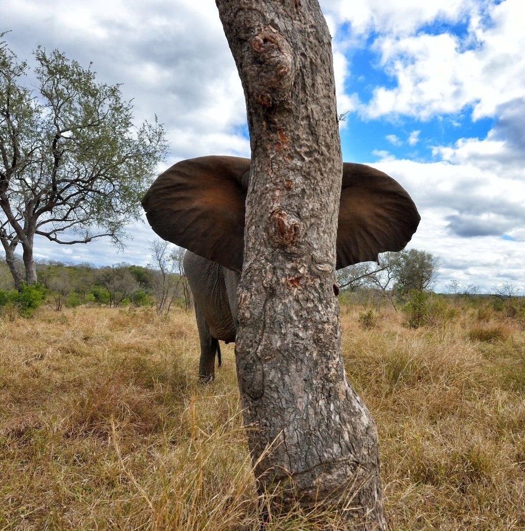 EM 1️⃣9️⃣🏆🇮🇹 tweet media