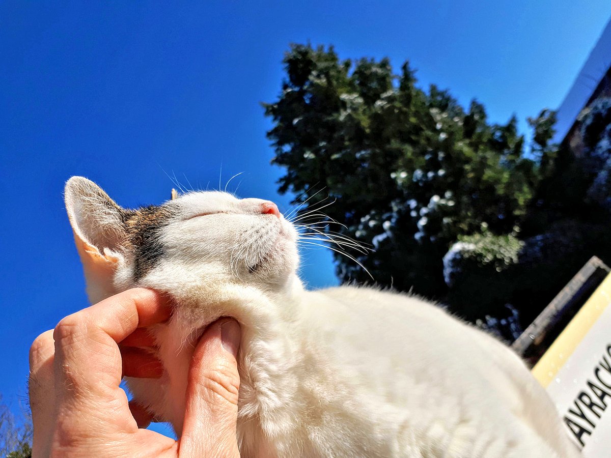 Happy New Year from everyone here at the Gallery. Thank you for supporting us during these uncertain times, it means a great deal to know that so many people care. We hope you all have a happy, healthy and safe 2022, and we look forward to seeing you again very soon. Take care.