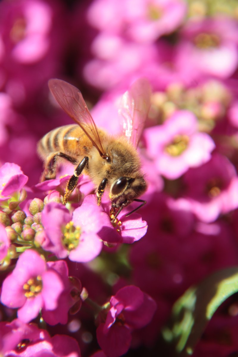 Life is short,folks. What will you do today? 😏