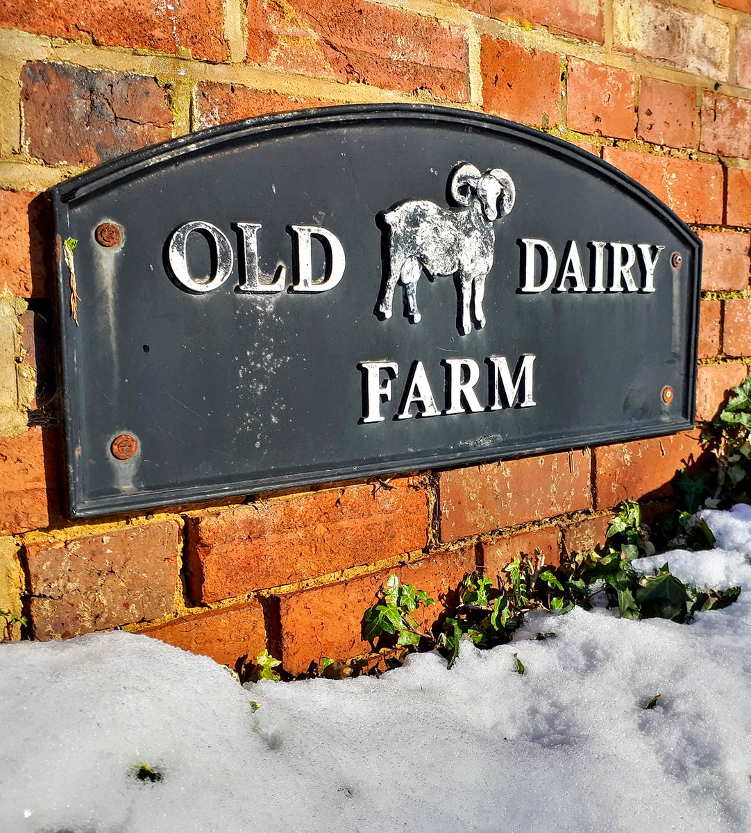 Happy New Year from everyone here at the Old Dairy Farm. Thank you for supporting us during these uncertain times, it means a great deal to all of our businesses to know so many people care. We hope you all have a happy, healthy and safe 2022, we look forward to seeing you soon.
