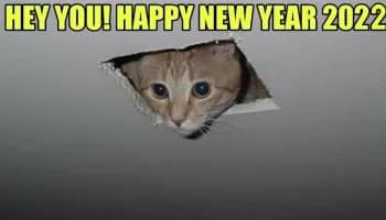 ombudsman_s's tweet photo. #HappyNewYear #NewYear2022 #NewYearsEve #CatsOfTwitter https://t.co/10jnJTVdu5