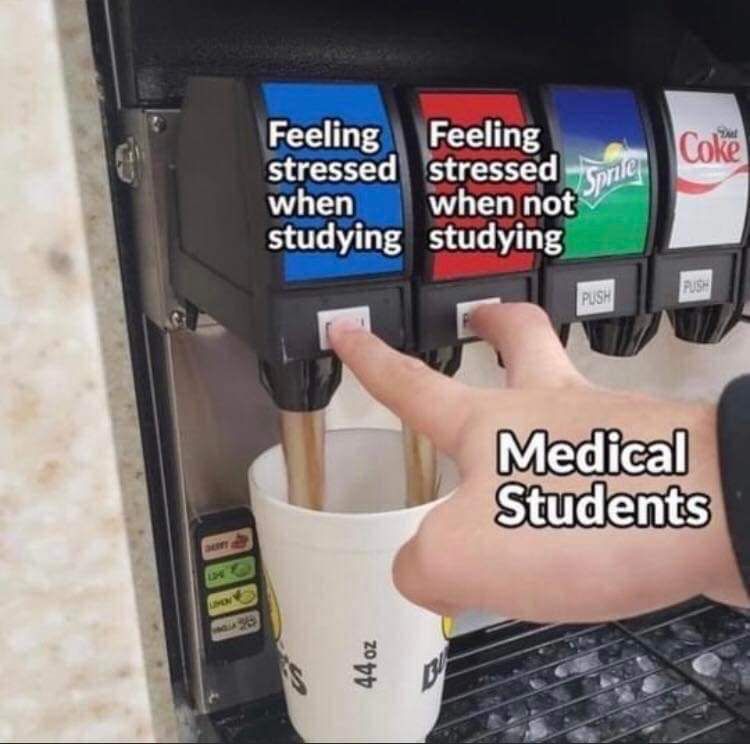 quesmedicine's tweet photo. I’ve done literally nothing over this Christmas holiday and it’s been blissful 🎄 https://t.co/BrTrT82JGo