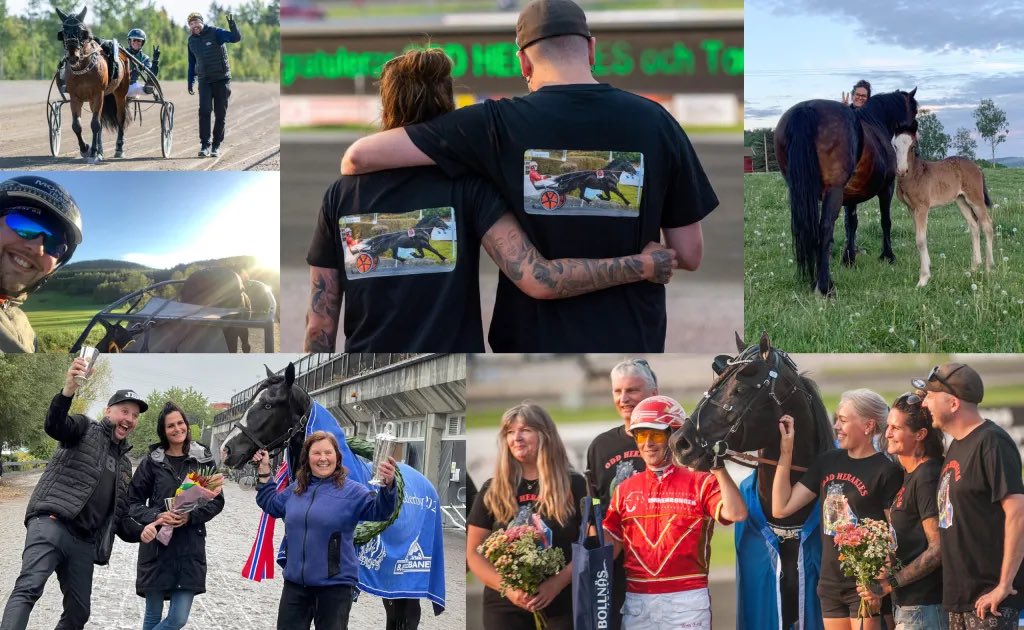 Tusen tack till alla som gjort vårt år till det bästa någonsin. Alla ni hästägare och personal som varit helt fantastiska. 
• Derbyseger Monster Merete
• Odd Herakles Elitkampen
• 421 ston betäckta

sport.monstertrav.se/2021/12/gott-n…