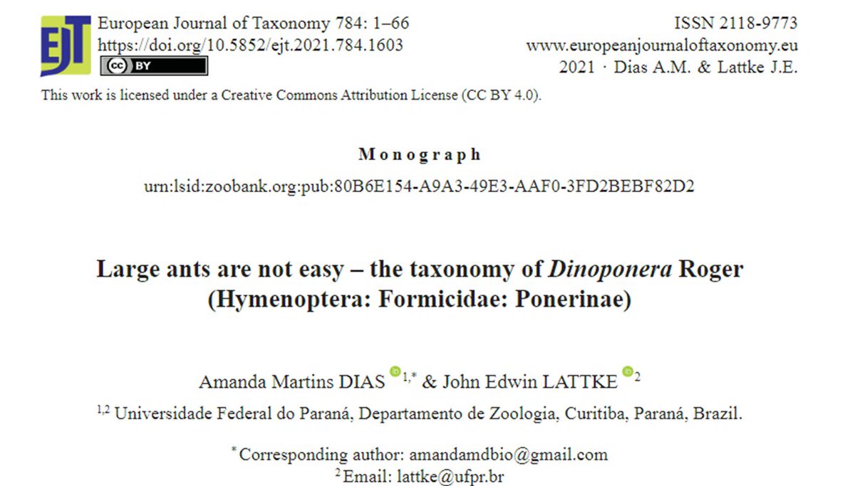 labsbf's tweet photo. The gift of New Year's Eve came in the hands of @MDiasAmanda  and J. Lattke. An exceptional work on Dinoponera taxonomy, as the main result of her MSc. project was recently published: https://t.co/4FKPXlsGtl
May the new year bring all of us health and many ants to look up to!🥳🎇 https://t.co/cPnmXmRVvd