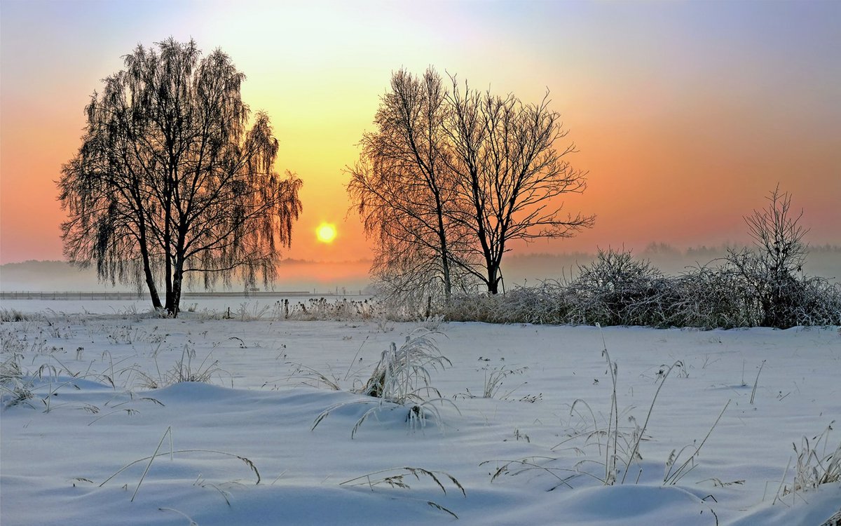 ILPOETADITALIA's tweet photo. Il sole percorre l'ultimo sentiero dell'anno
lasciando il colore del sogno nel freddo vestito dell'inverno.
 La luna aprirà la porta della notte
e già i tuoi occhi sembrano stelle,
accese nell'oscuro mistero del tempo.
Vieni foglia rossa,ascolta con me la dolce canzone della vita https://t.co/BNHjLTkuAP