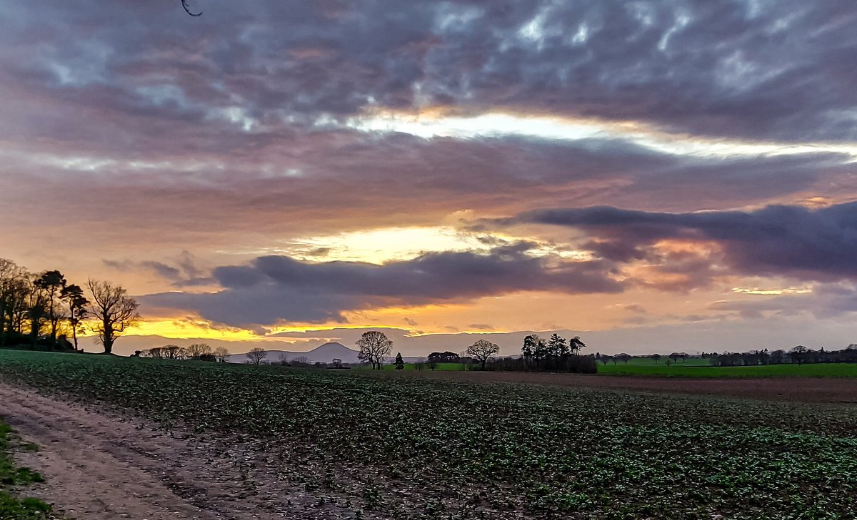 Last sunset of the year.. bye bye  2021...
#HappyNewYear #Bestwishes  #landscape #photography #sunset