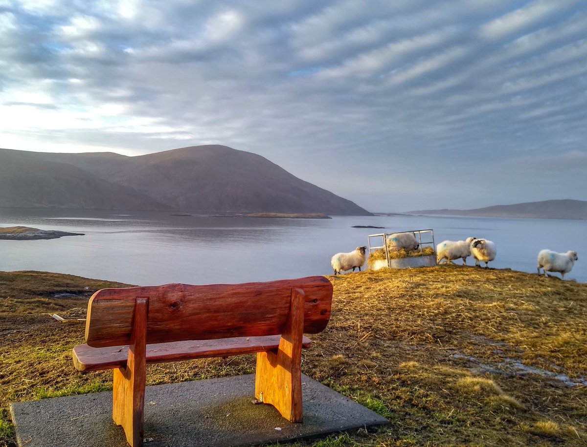 Strathview1's tweet image. Happy Hogmanay... Winter sunshine on New Year's Eve..💙 #isleofharris @VisitScotland @harrisdistiller @OuterHebs 
#outerhebrides #scotland