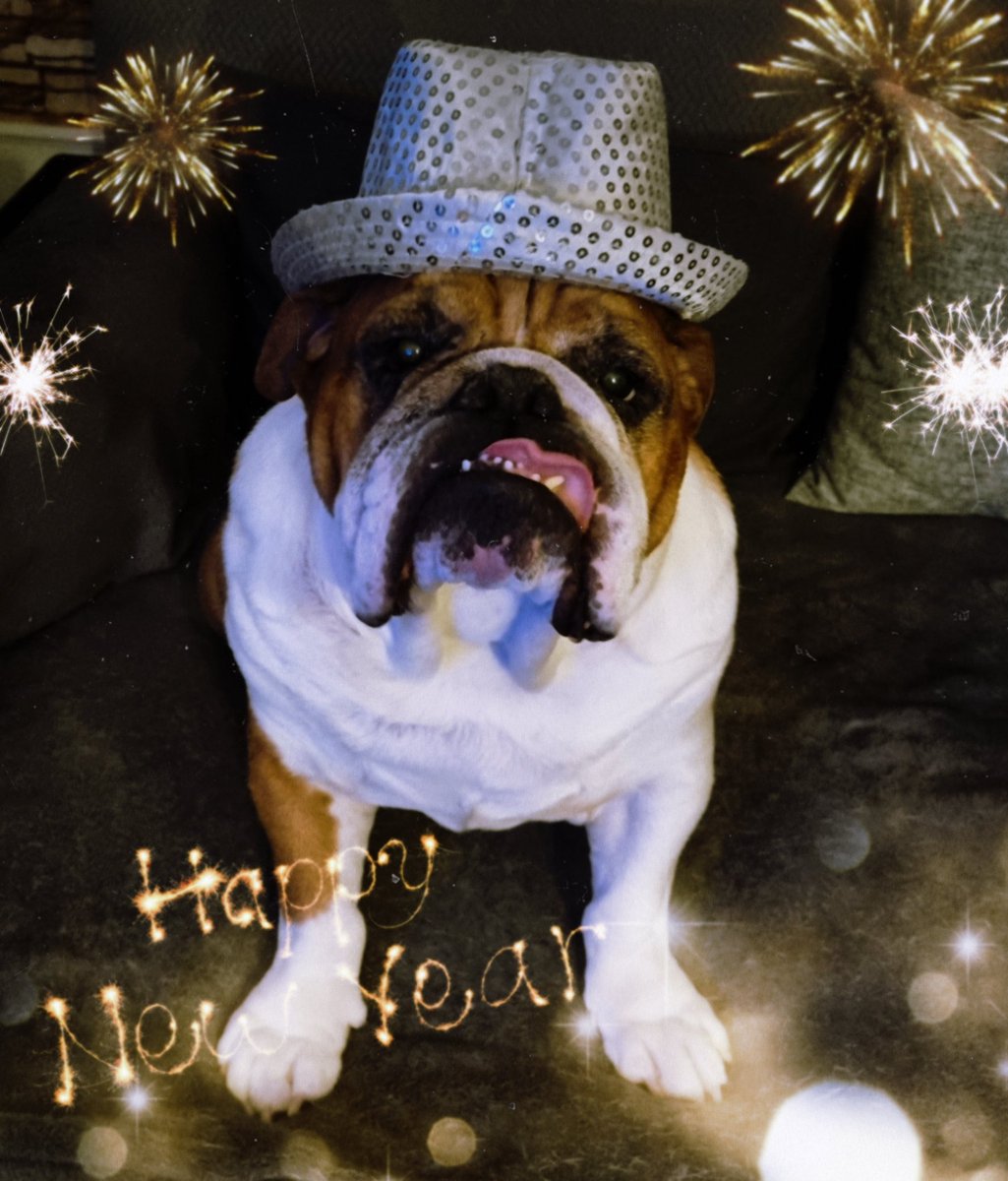 Wir wünschen allen einen guten Rutsch und einen wundervollen Start in das neue Jahr. 🍀🥳🥳🥳🥳