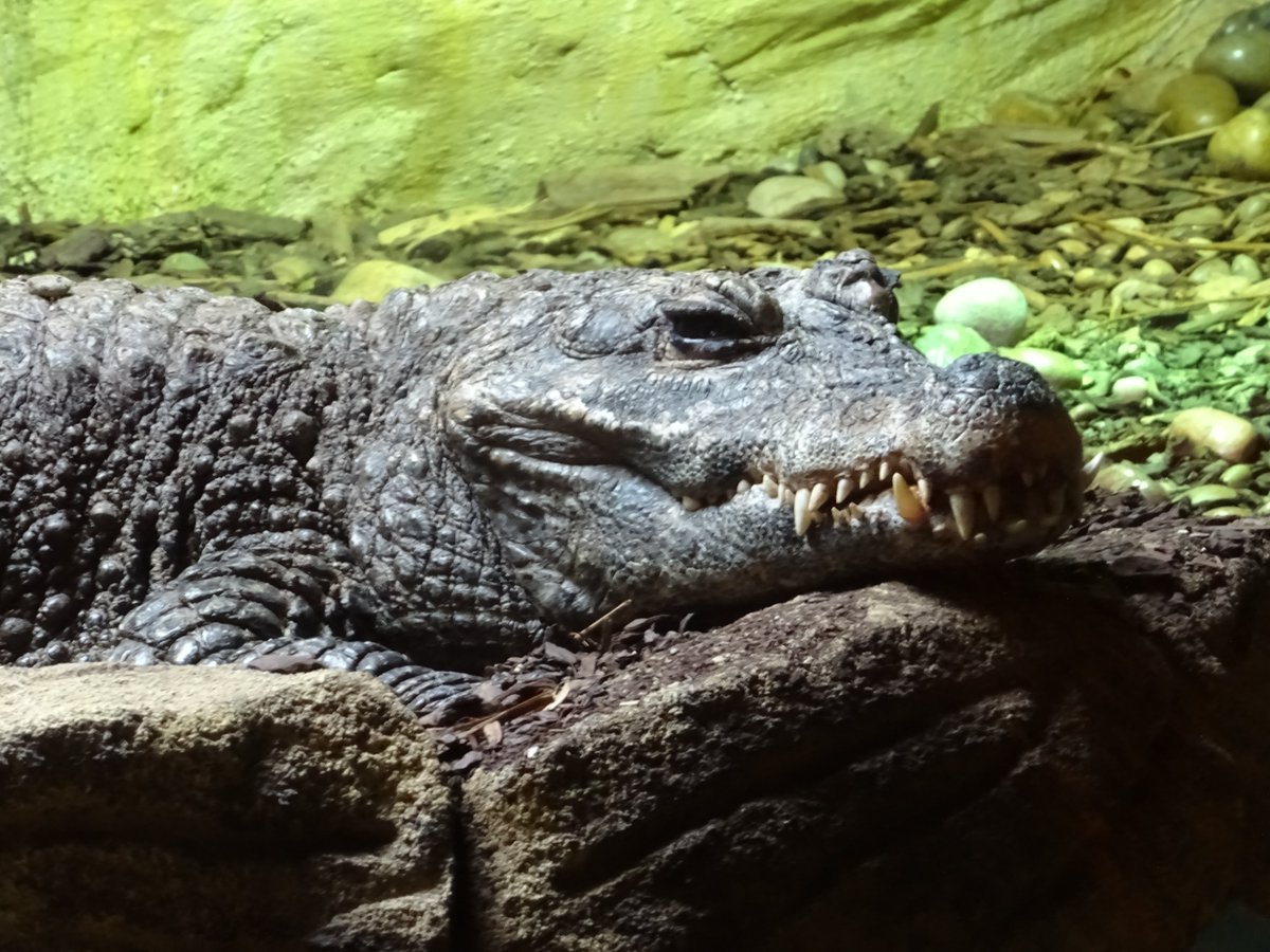 Tina Clark tweet media