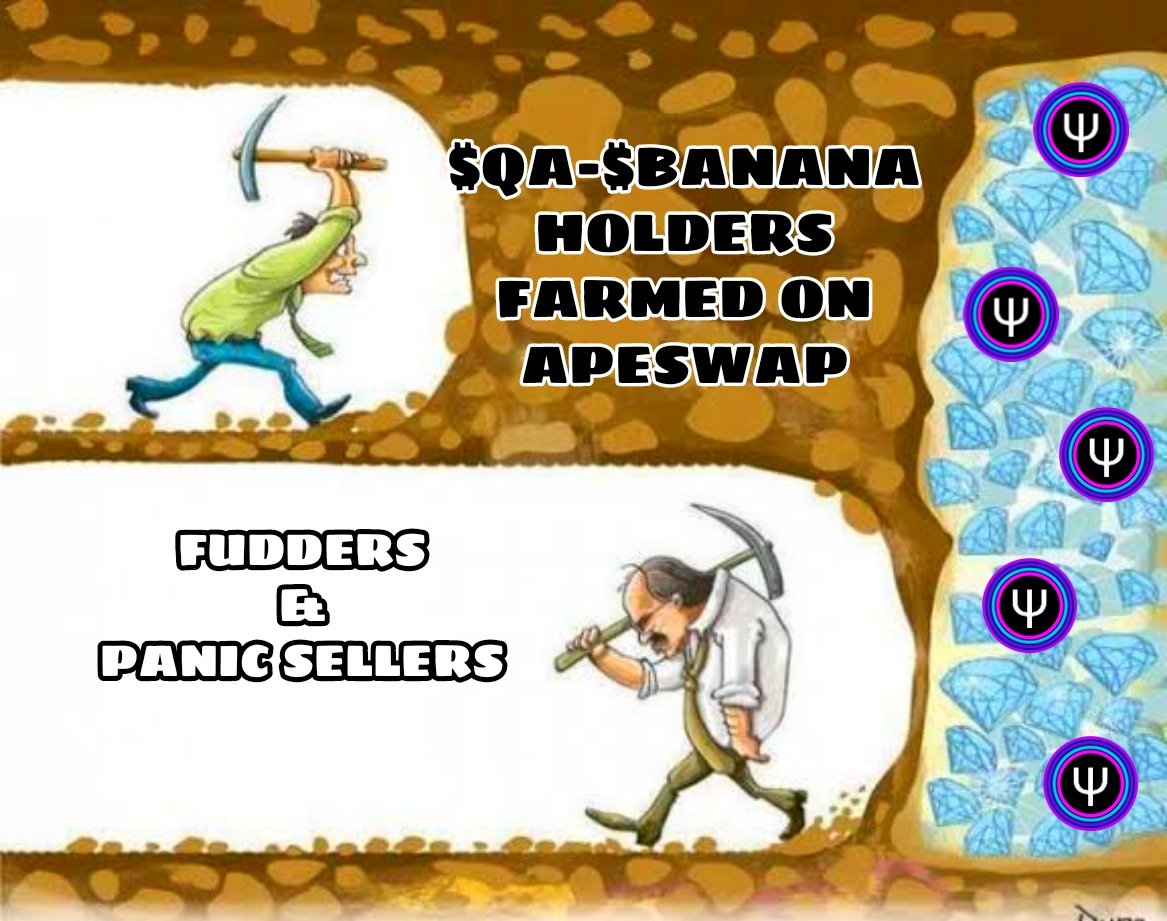 Darkkni34215110's tweet image. My entry sir
@QuantumAssetsQA
@ape_swap
$BANANA $QA
#QuantumAssets 
#ApeSwap