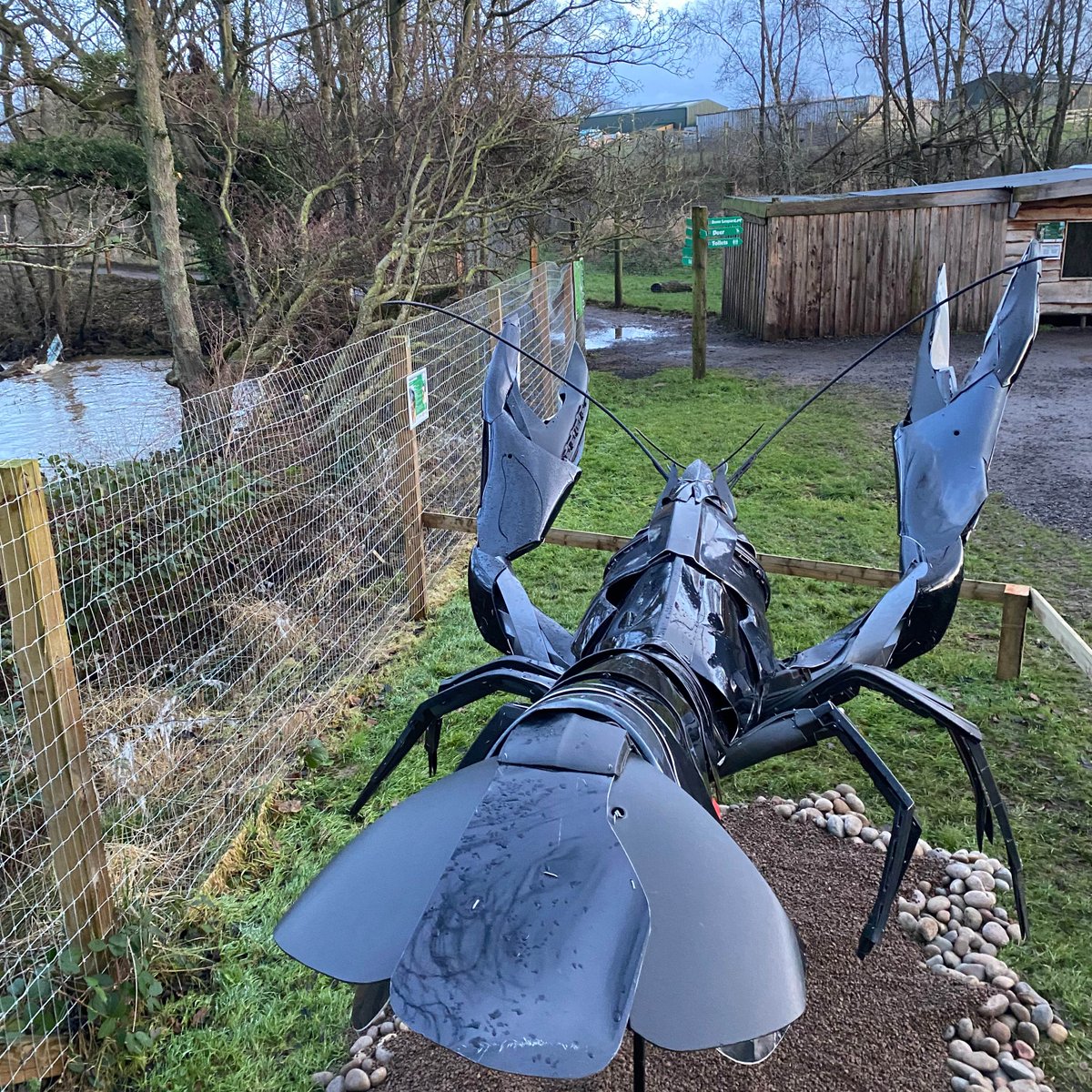 What a cracking day for our big Crayfish reveal! 

It was great to celebrate our partnership with the Northumberland Rivers Trust &amp; the Environment Agency with our plans to help save the Endangered White-clawed Crayfish. 

Thank you to everyone who came along ❤️🦞