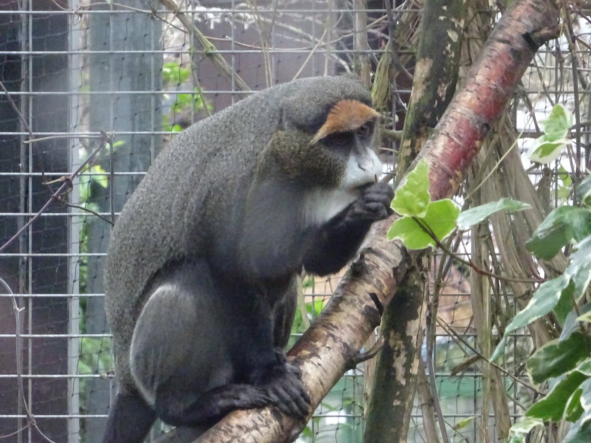 Tina Clark tweet media