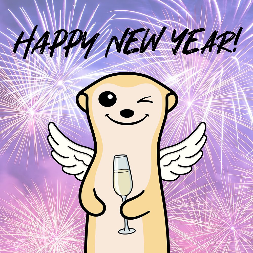 Moxy Meerkats tweet media
