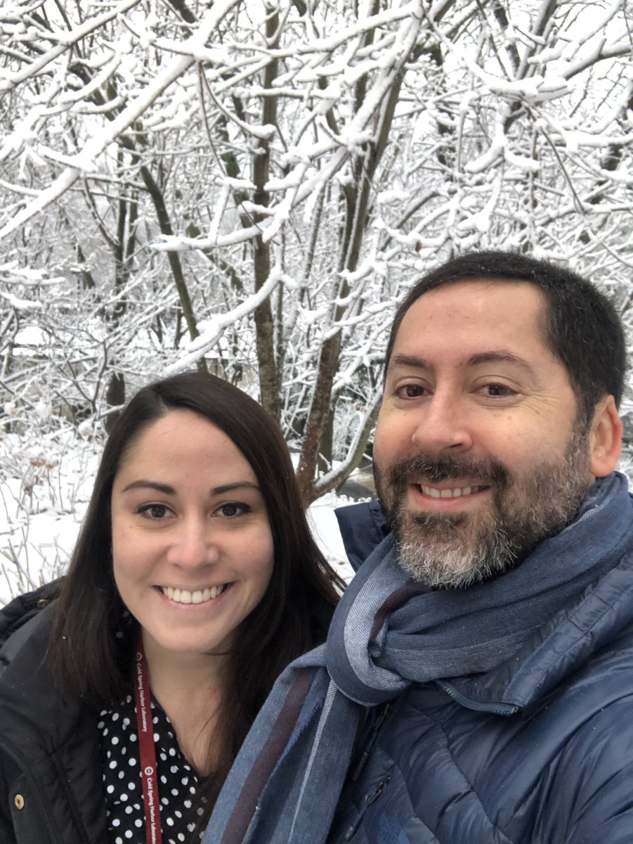 gicancino's tweet photo. Felicitaciones a la investigadora postdoctoral de nuestro laboratorio @fran_cornejo por tu FONDECYT de iniciación!!! Un gran logro para una excelente persona y científica 🎉🎉🎉 https://t.co/tpLk9KXYdb