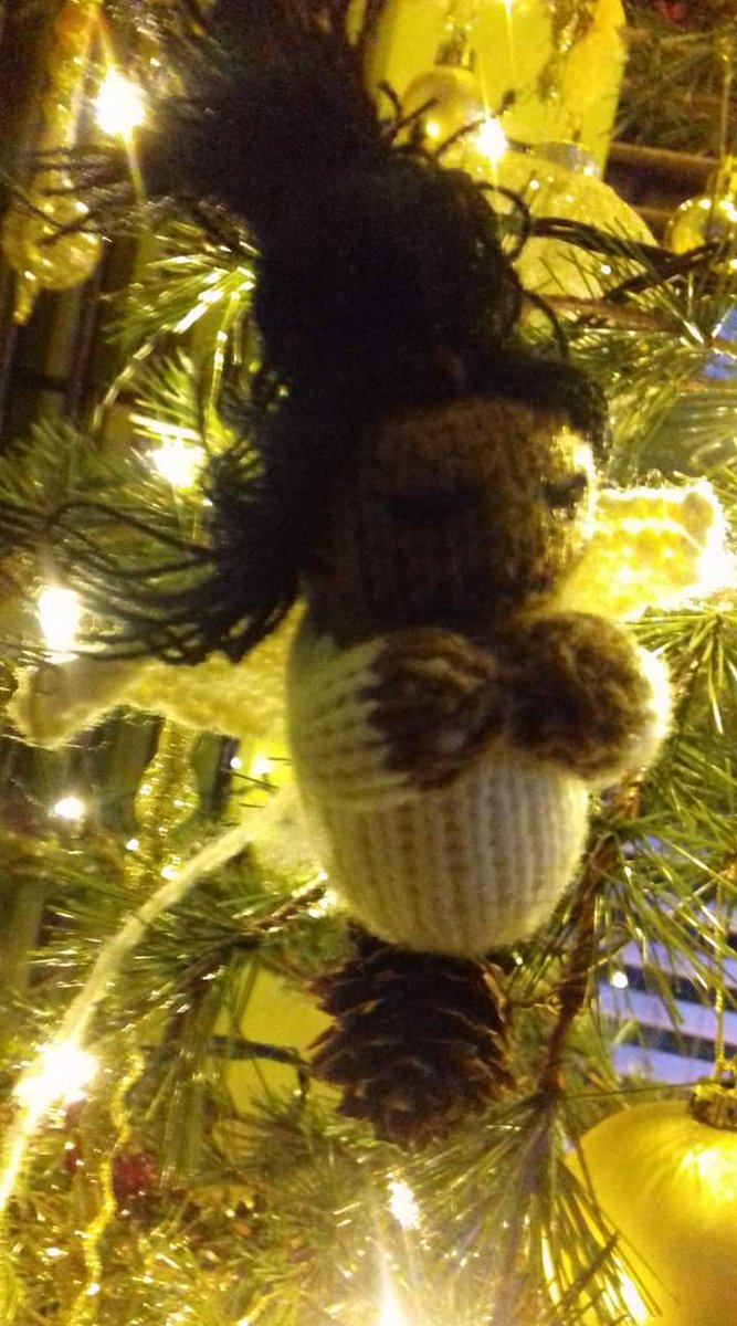 Helen McDonald tweet media