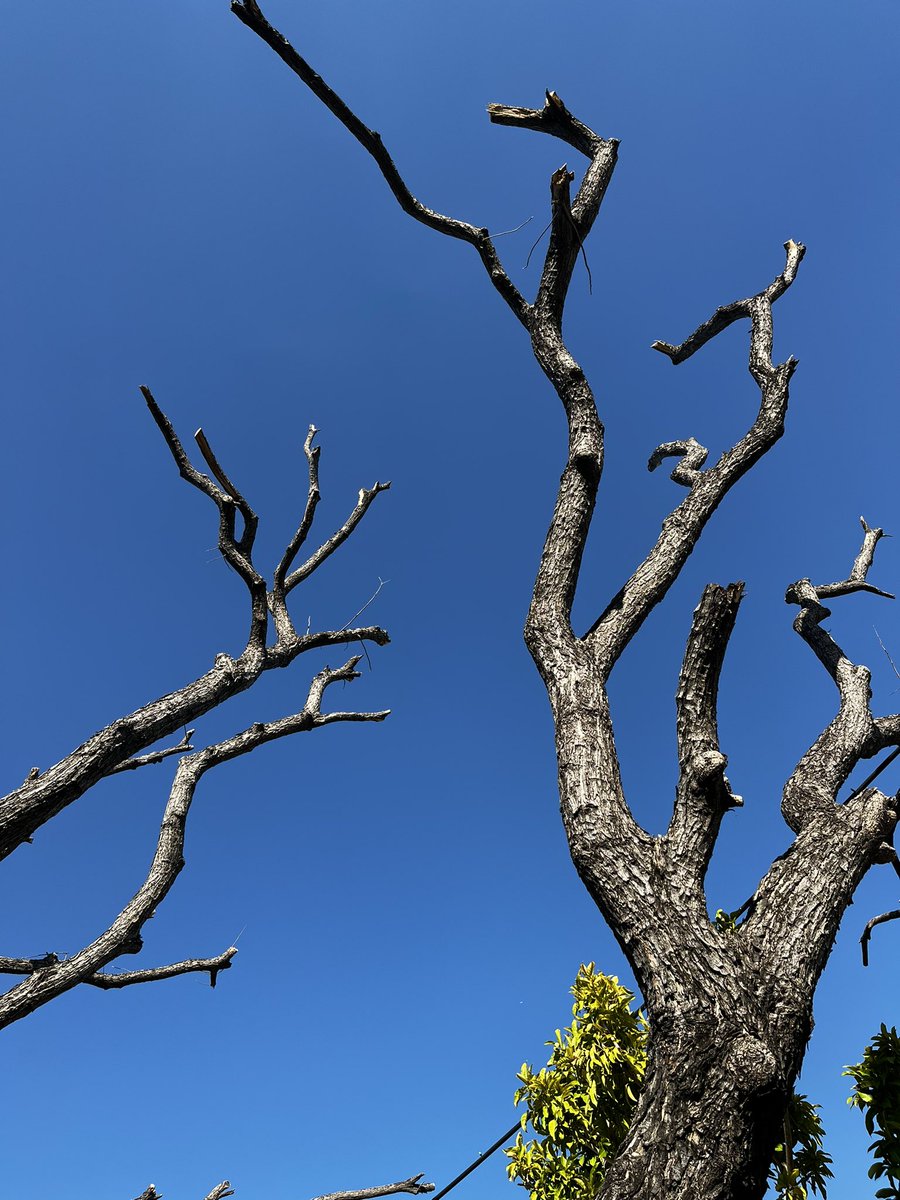 ปีใหม่นี้ขอให้ทุกคนมีความสุขเยอะๆ มีแต่รอยยิ้มที่แสนน่ารัก ไม่มีฝนตกในใจนะคะ ไม่เจออะไรที่มันท้อคซิคกับเธอนะ คิดอะไรก็ขอให้สมหวังทุกอย่างนะคนเก่ง🌾🍂