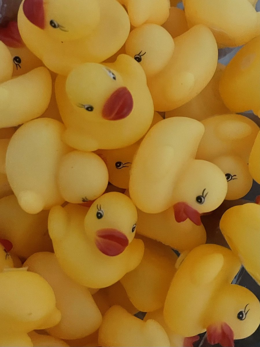 ChiveOnSeattle tweet media