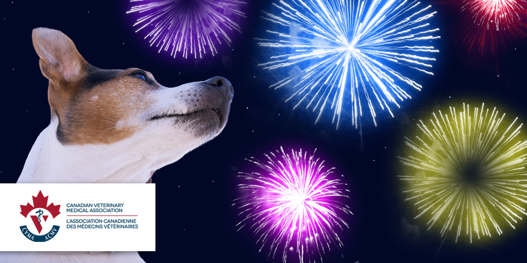 Sask Vets tweet media