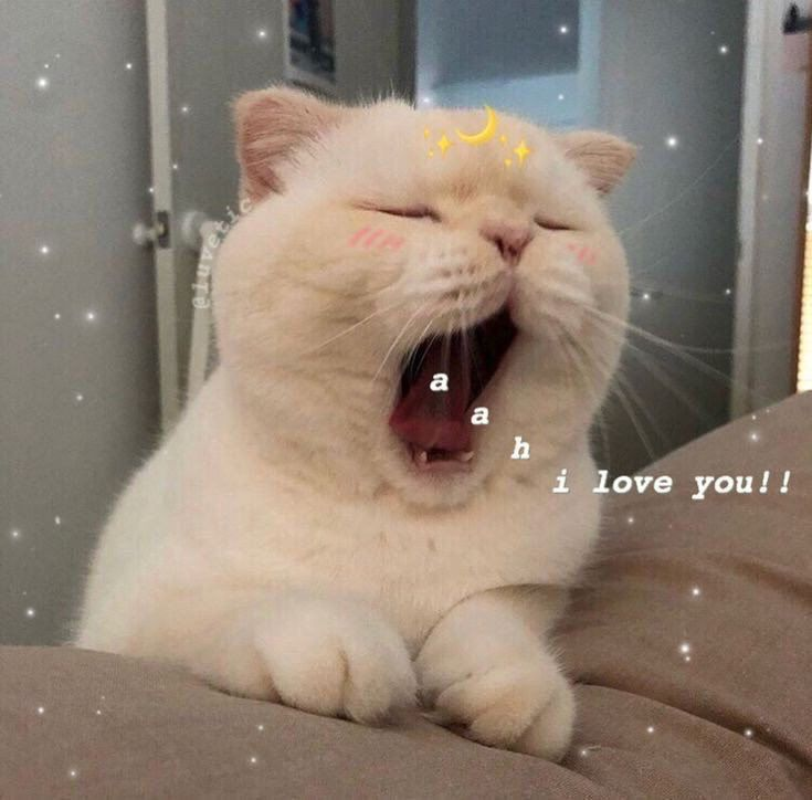 SVodolei's tweet photo. happy new years to yall on here!

so many amazing things happened in 2021, new friends new fics and sequels, surprise fanart (still not over that moment omg) and i'm leaving this year far less lonely than last year ;)

2022 will be even better, i know it, yall deserve it so much! https://t.co/u5jUyLmi9M