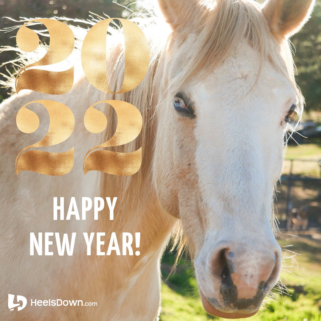 HeelsDownApp's tweet photo. Another great year...but we're so excited for what's to come in 2022!🎉❤️🐴😃

#heelsdownapp #heelsdown #horsebackriding #ridinglessons #dressage #hunter #jumper #showjumping
#barrelracing #polo #reining #WellingtonFL #PalmBeach #horsesofinstagram #HappyNewYear2022 https://t.co/yE8IVbj3Eg