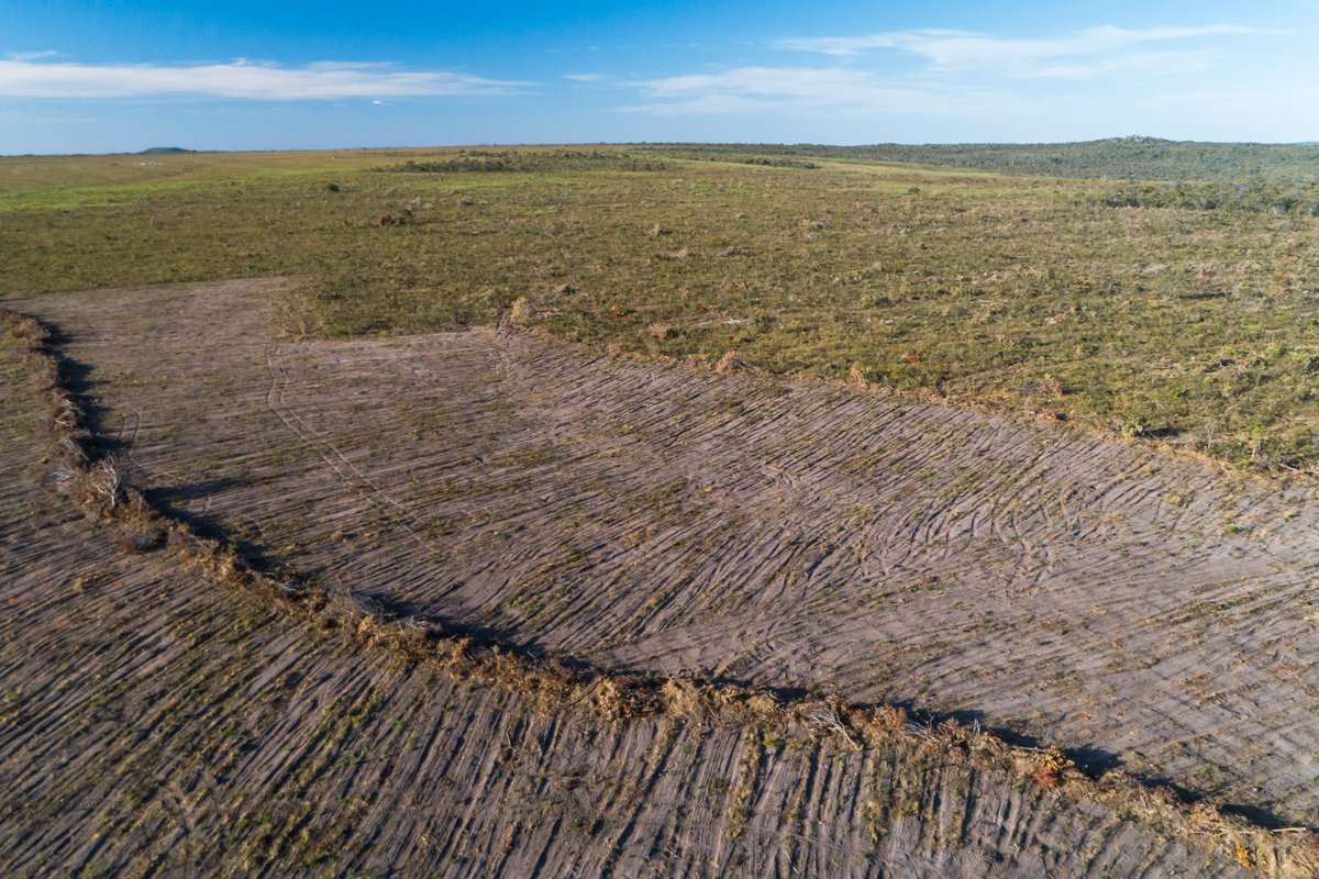 wwfbrasil's tweet photo. #Desmatamento do Cerrado foi de 8.531,44 km² de vegetação nativa entre agosto de 2020 e julho de 2021, de acordo com dados do PRODES Cerrado divulgados nesta sexta-feira (31). Segue o 🧶 https://t.co/ZJBBbs9Jv6