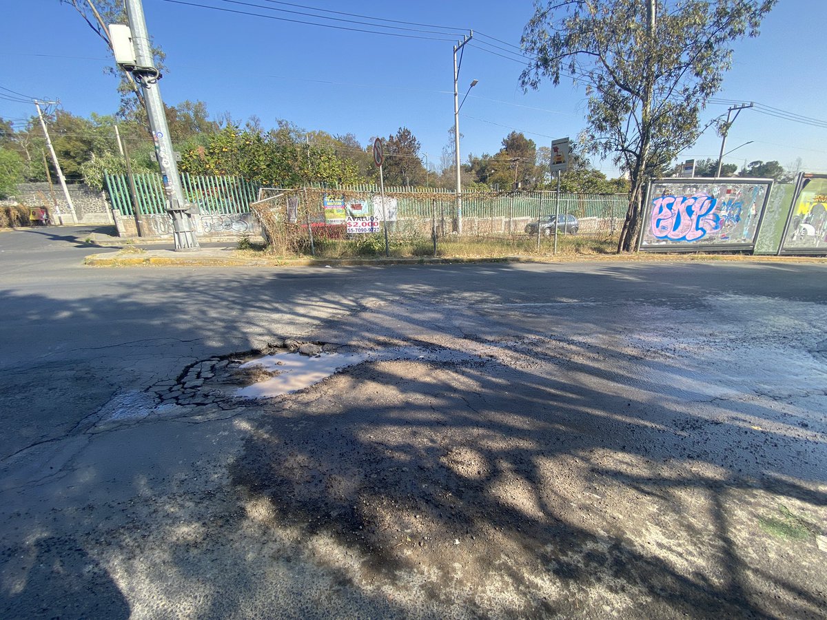 Nino Canun Rojas tweet media