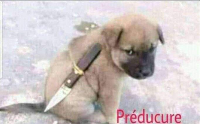 mrlecrypto's tweet photo. @babydoge 2022 https://t.co/bLjV9VtVPt