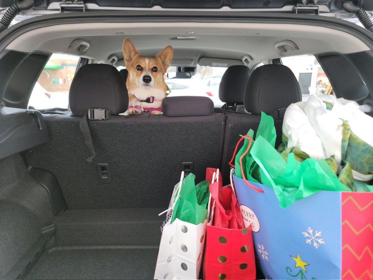 peteymac's tweet photo. You mean to tell me Dad that these gifts are NOT for me?! #CorgiCrew #Corgi #corgisoftwitter #dogsoftwitter https://t.co/pUNoRYDb9t