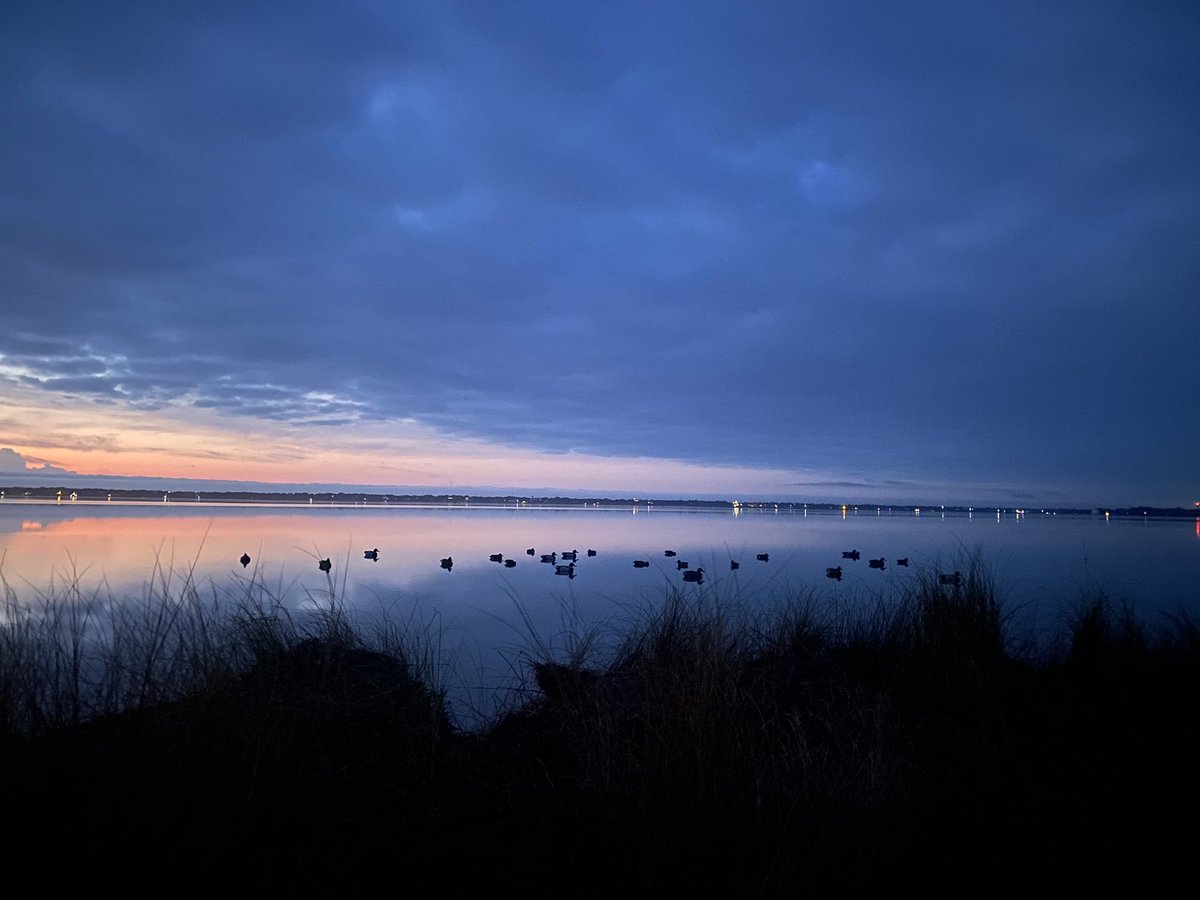 JimSkeltonNC's tweet photo. Chootβem!
#DuckHunt #BogueSound #Waterfowl #GoldenRetriever https://t.co/NiDUYIWZDj