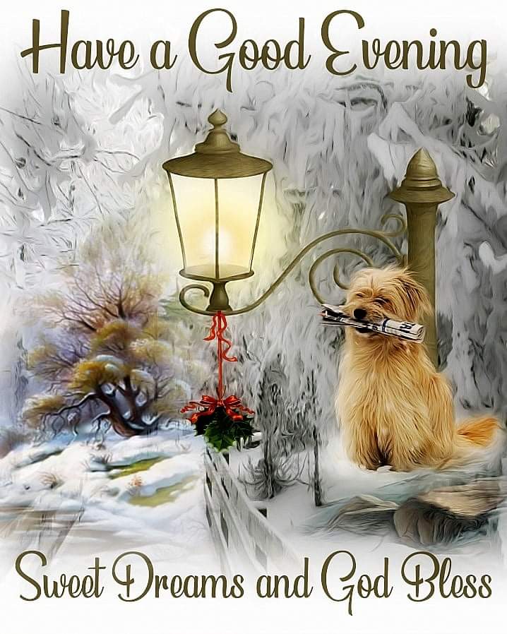 O Xrhsths Gerna Volschenk Sto Twitter Goodevening To All My Wonderful Friends Across The World Wishing You And Your Family A Lovelynight Takecare Staysafe Stayhealthy God Bless You Love You All Sleepwell Sweetdreams