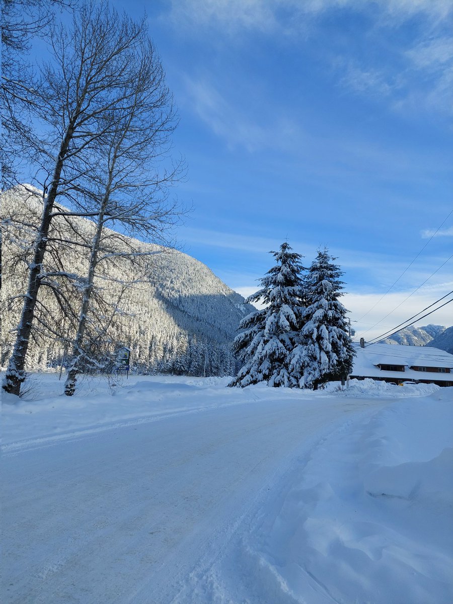 graficat's tweet photo. @graficat  It is super frosty today. But beutifuuul! Happy new year 🥳
May new year will be less stressfull for everyone!
#Happynewyear #2022NewYear #weather #snow #beutiful #frost #fraservalley https://t.co/s8H9Telg9O