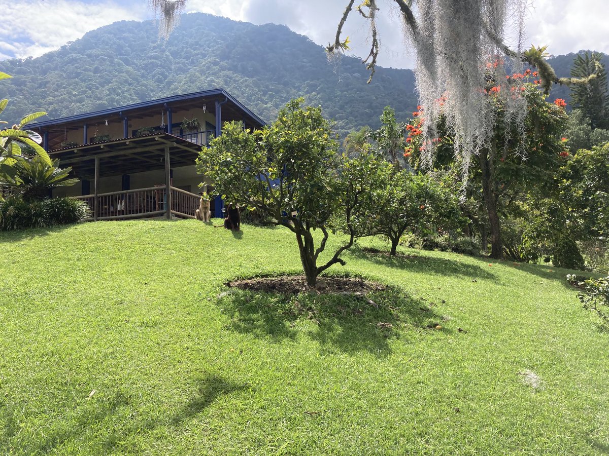VVelezUribe's tweet photo. Desde este pequeño rincón montañero andino y verde, donde transcurren mis días, deseo a todos un 2022 tranquilo, en paz y especialmente respetando a quien piensa diferente. https://t.co/1RFzlhaFui