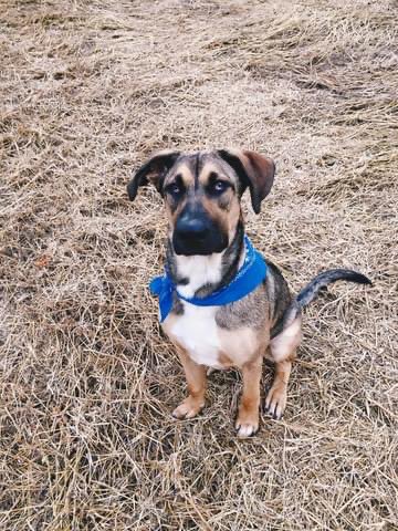 Rebecca Channer tweet media